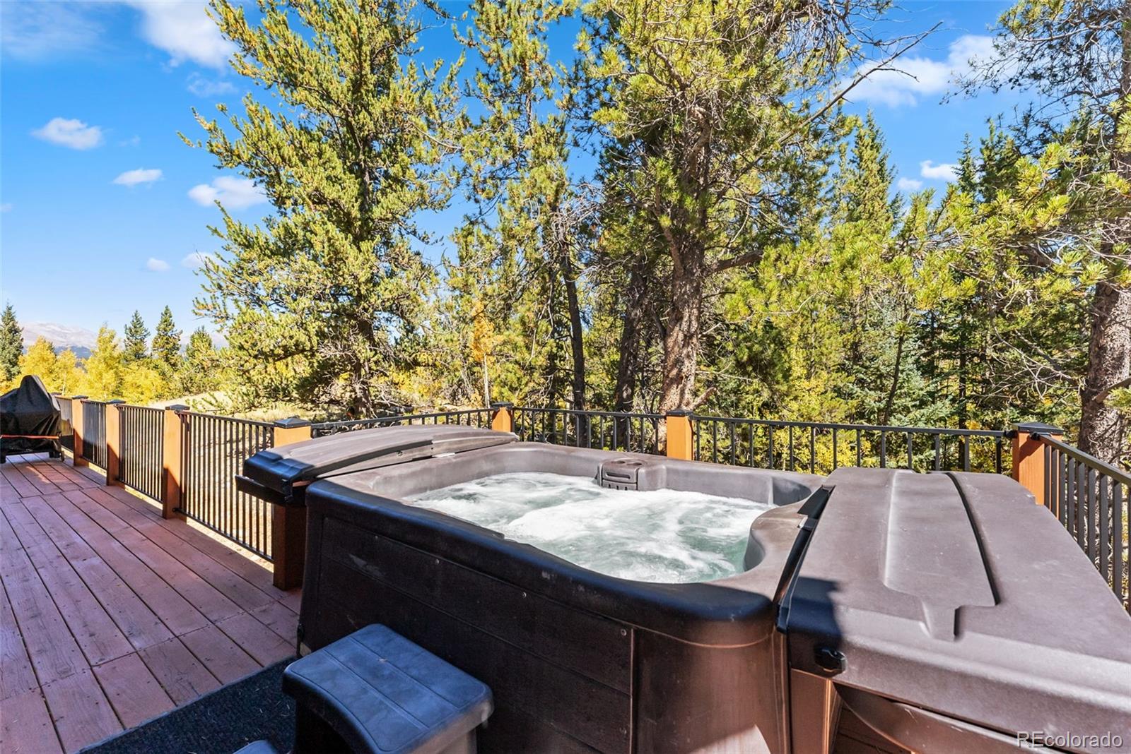 MLS Image #23 for 1954  platte drive,fairplay, Colorado