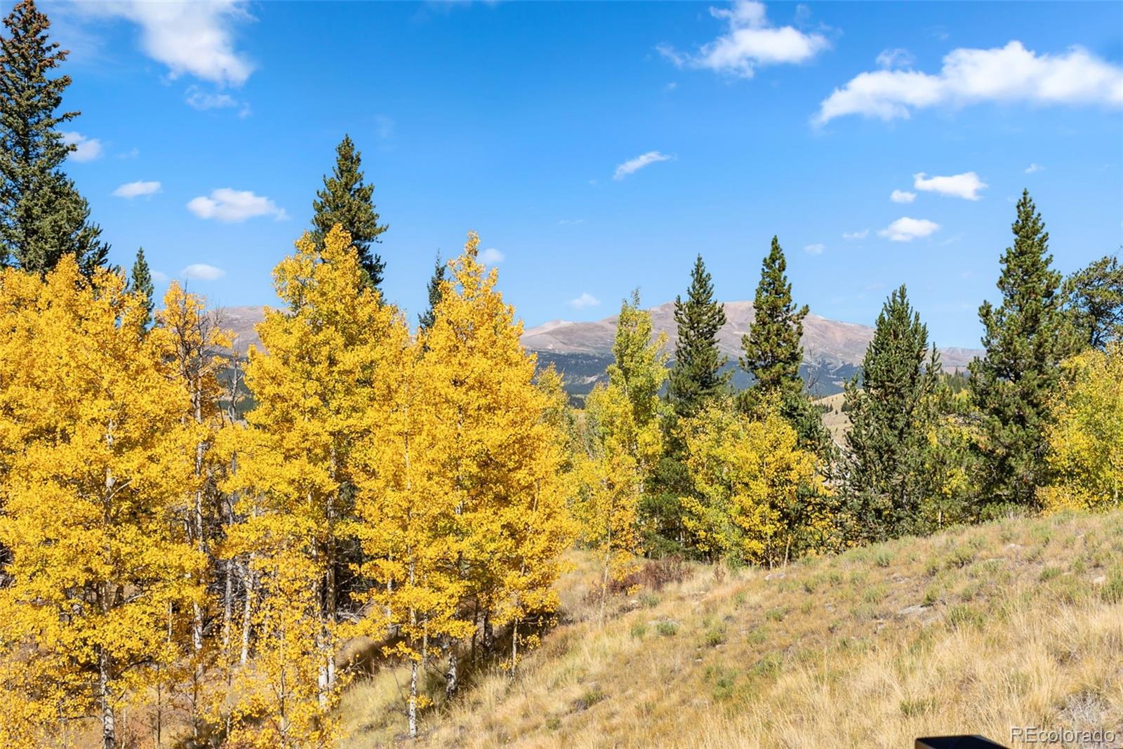 MLS Image #24 for 1954  platte drive,fairplay, Colorado