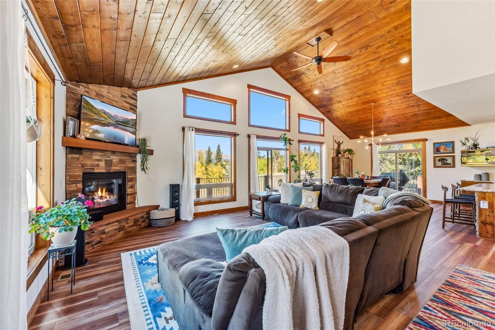 MLS Image #4 for 1954  platte drive,fairplay, Colorado