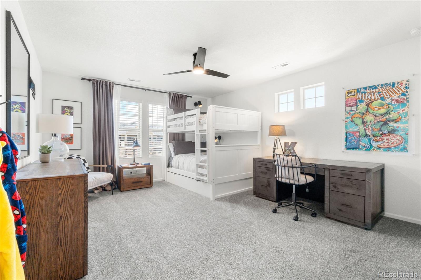MLS Image #24 for 4960  malaya street,denver, Colorado