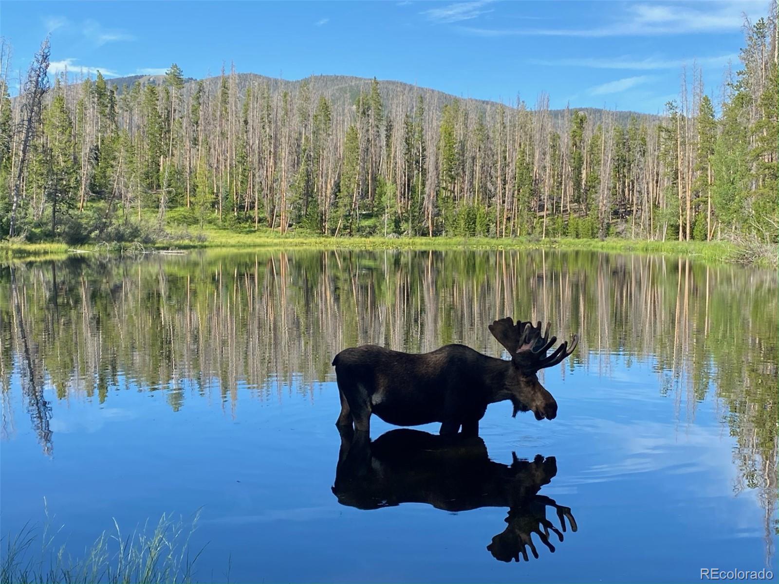 MLS Image #37 for 495  gcr 49 ,grand lake, Colorado