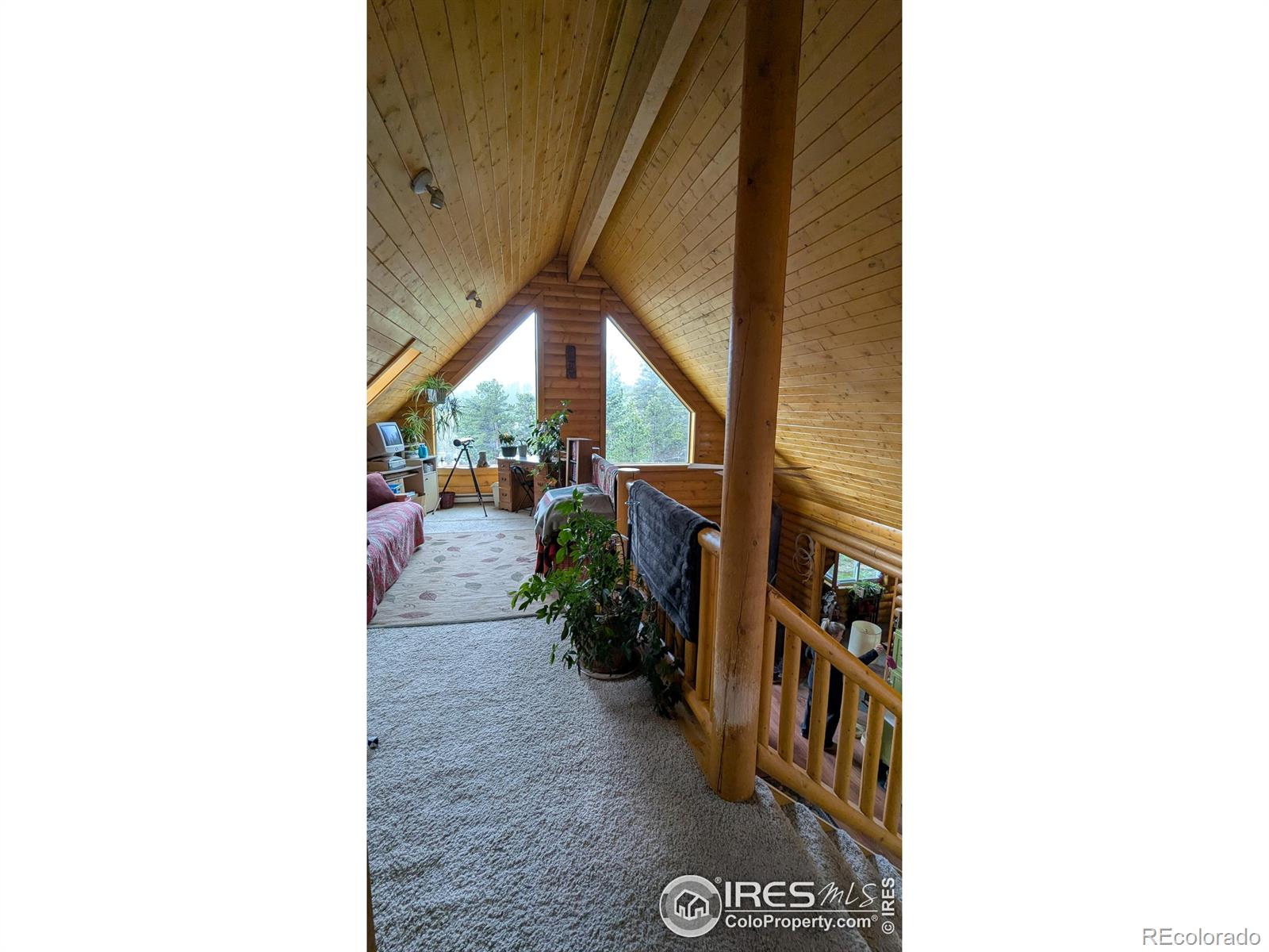 MLS Image #13 for 311  chiricahua circle,red feather lakes, Colorado