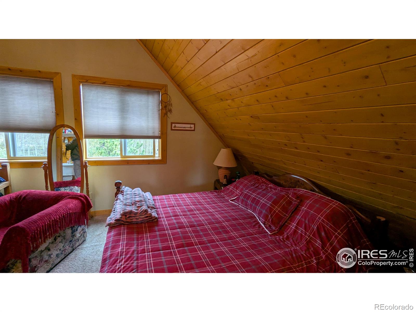 MLS Image #16 for 311  chiricahua circle,red feather lakes, Colorado