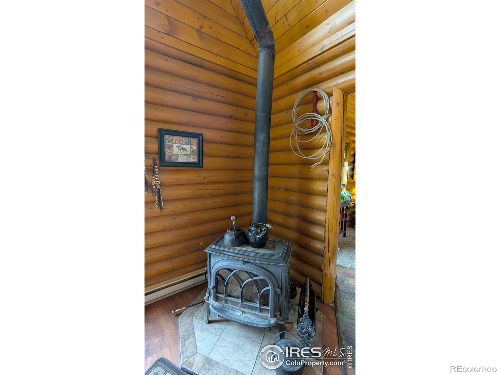 MLS Image #3 for 311  chiricahua circle,red feather lakes, Colorado