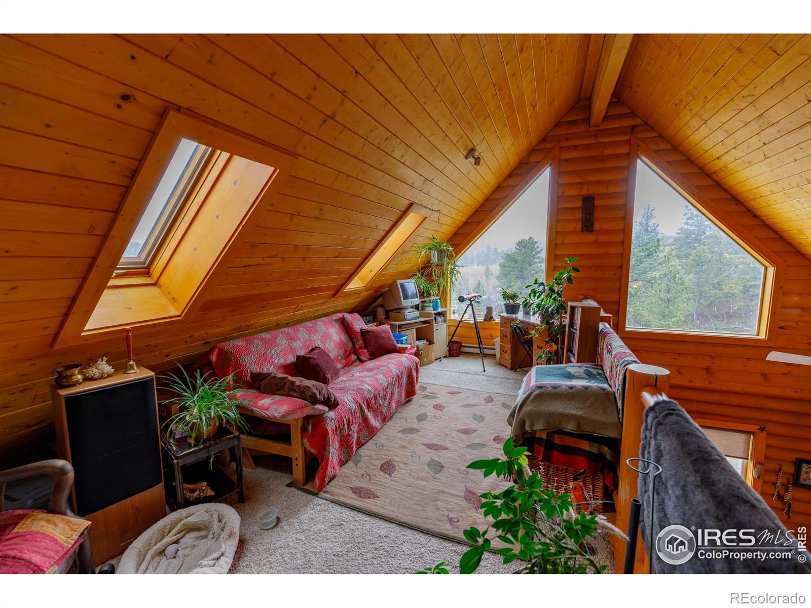 MLS Image #38 for 311  chiricahua circle,red feather lakes, Colorado