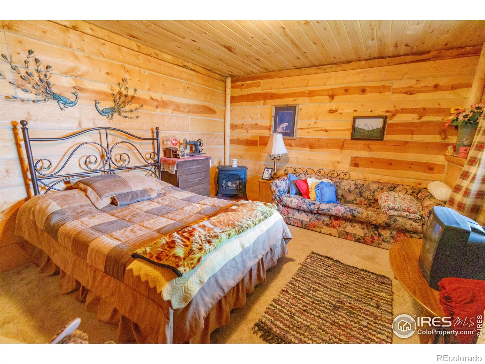MLS Image #39 for 311  chiricahua circle,red feather lakes, Colorado
