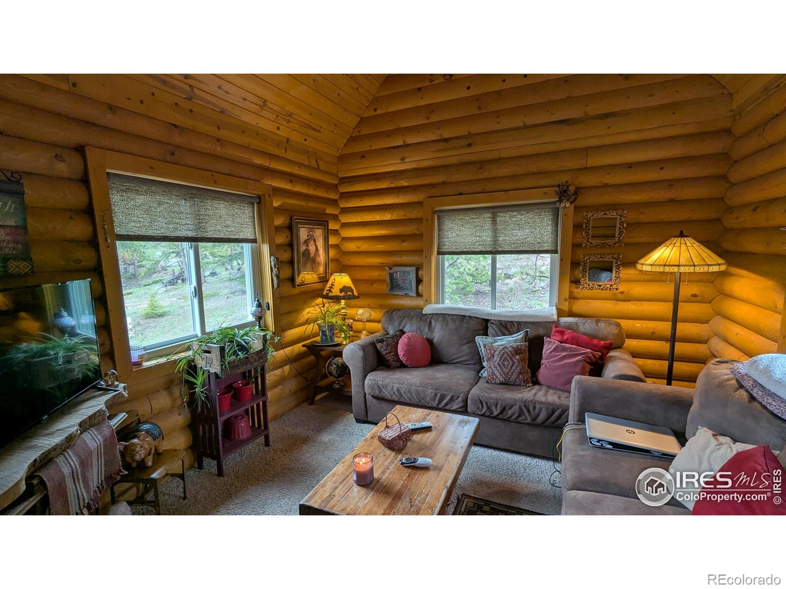 MLS Image #4 for 311  chiricahua circle,red feather lakes, Colorado