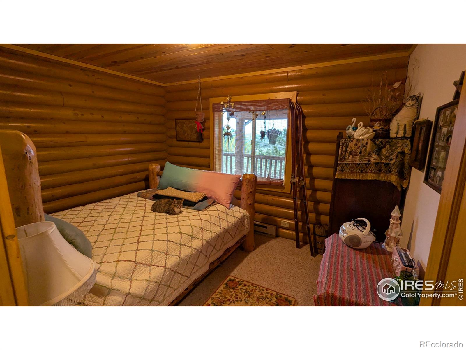 MLS Image #9 for 311  chiricahua circle,red feather lakes, Colorado