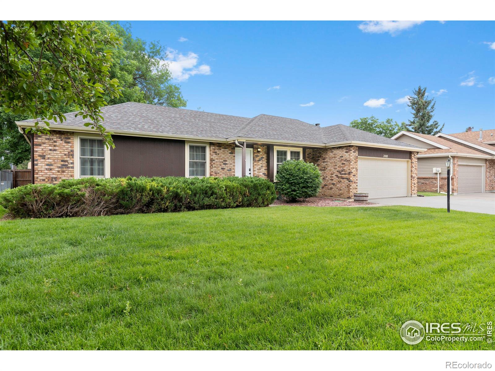 MLS Image #3 for 2408  albany avenue,loveland, Colorado
