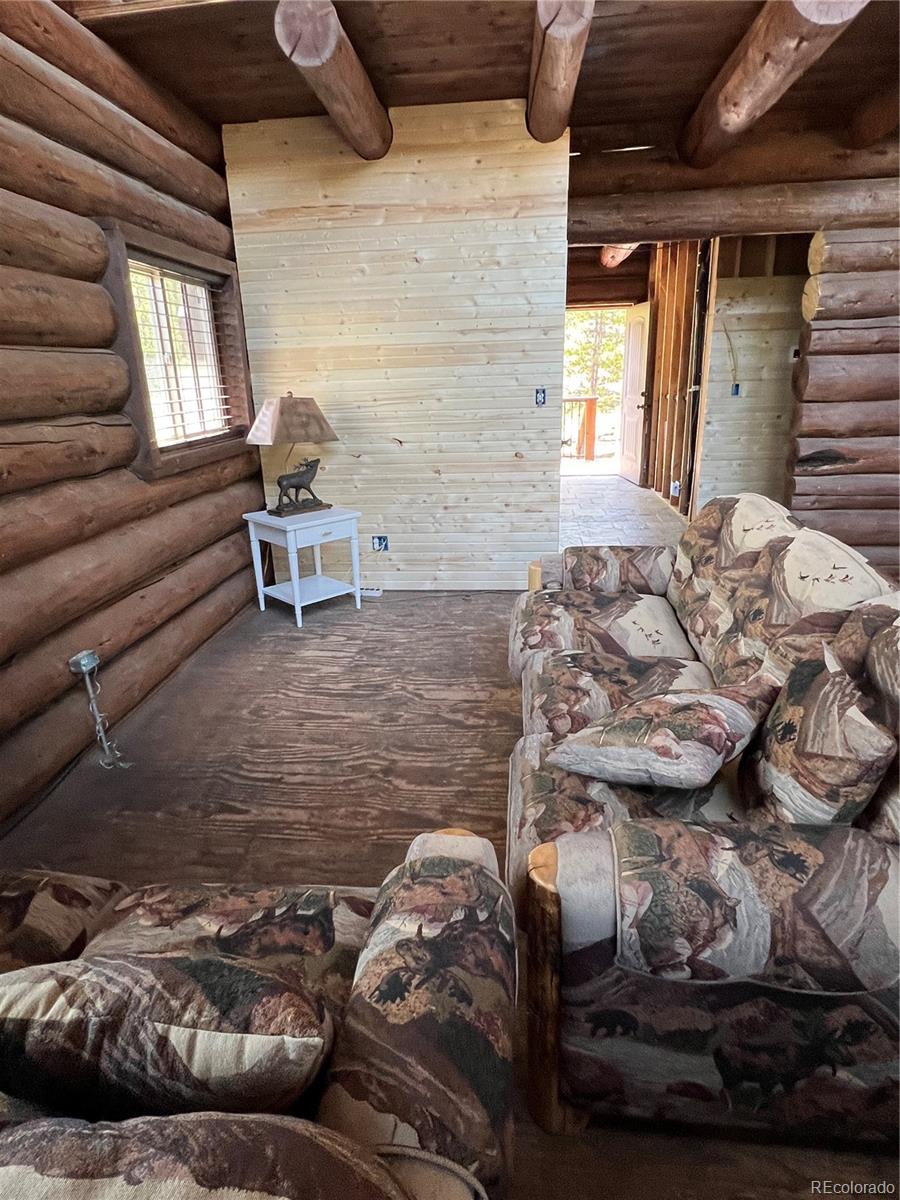 MLS Image #16 for 160  birch drive,twin lakes, Colorado