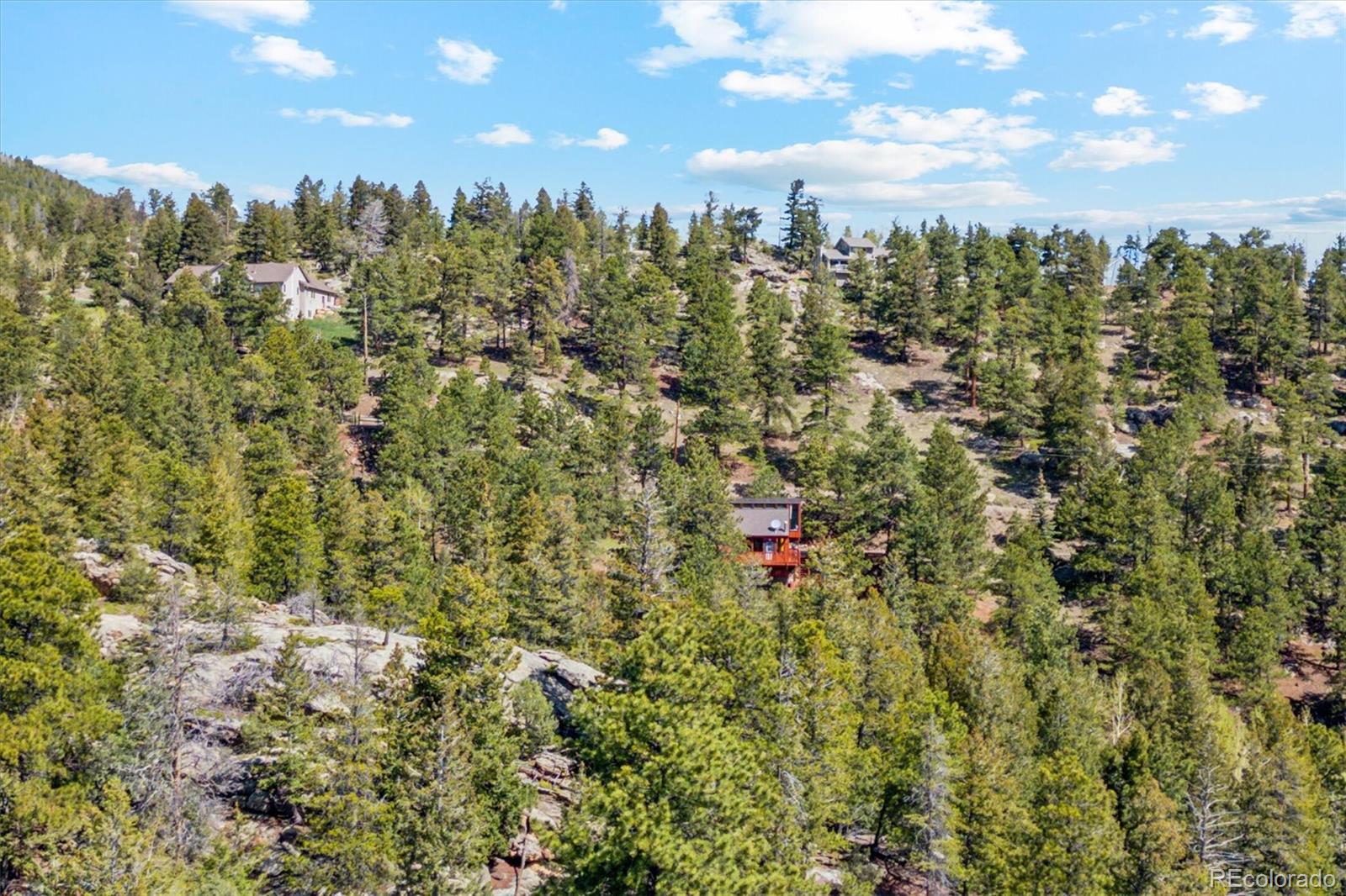 MLS Image #38 for 1278  aspen drive,evergreen, Colorado