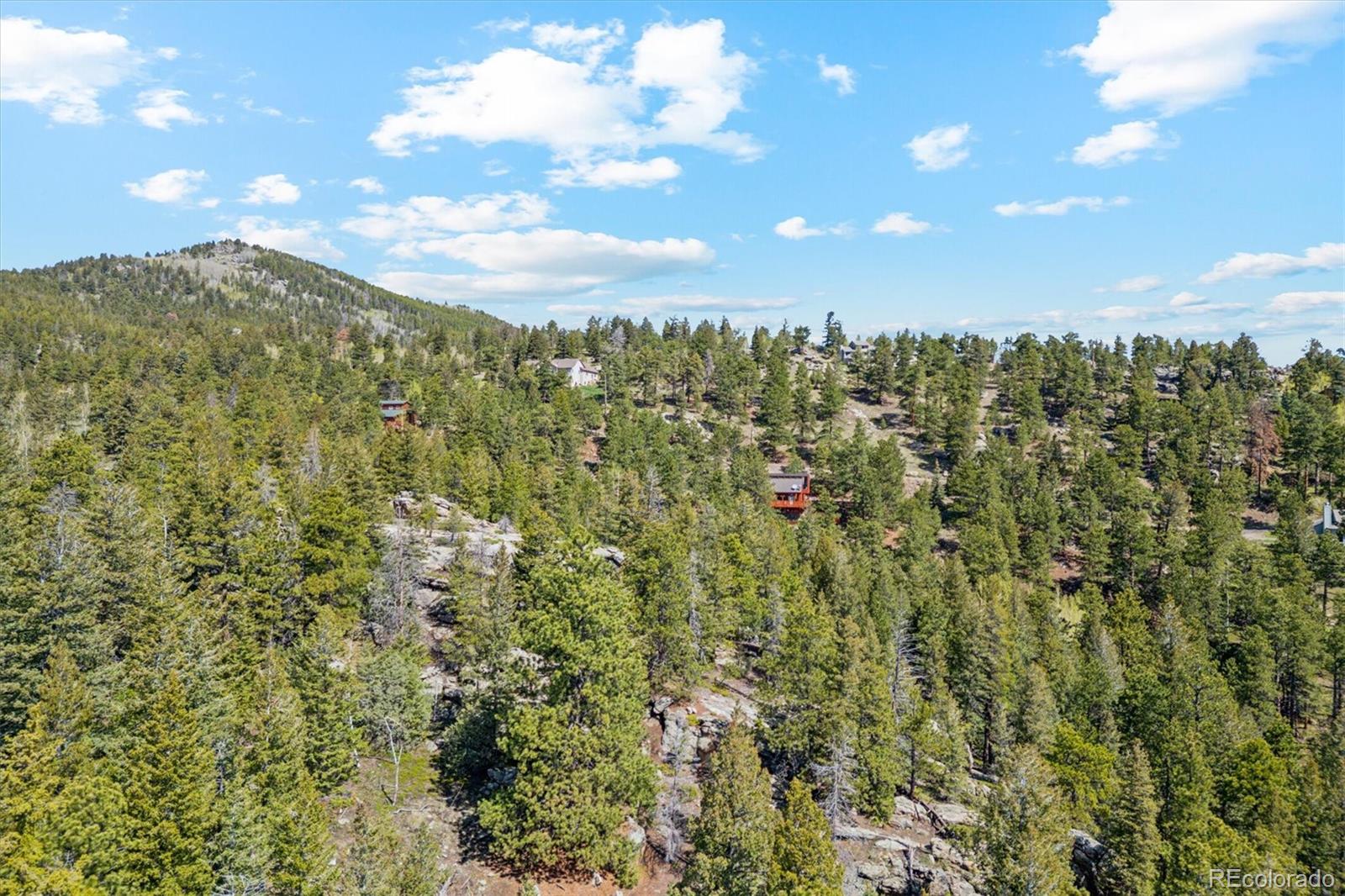 MLS Image #39 for 1278  aspen drive,evergreen, Colorado
