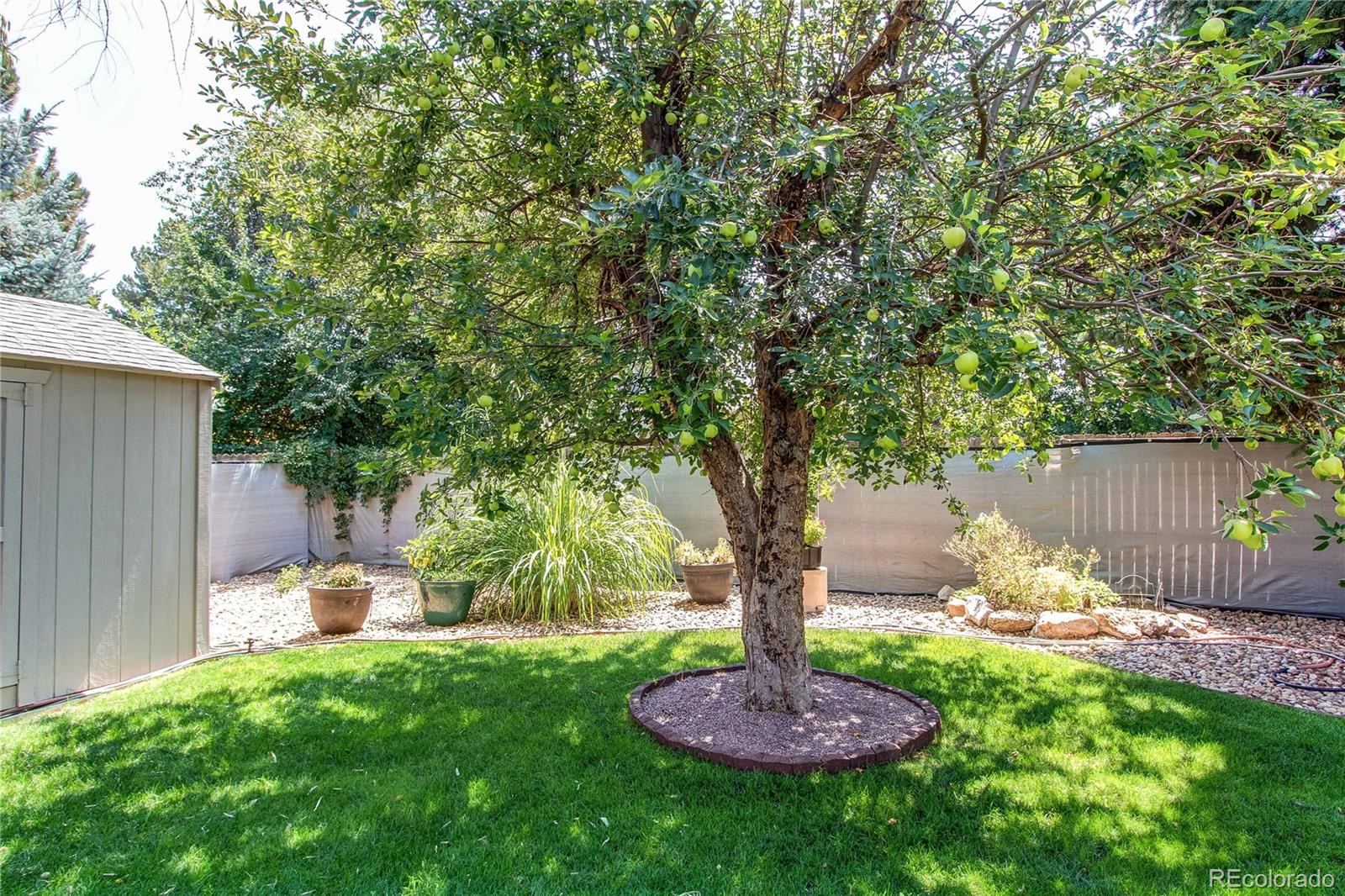 MLS Image #7 for 6120 w 111th avenue,westminster, Colorado