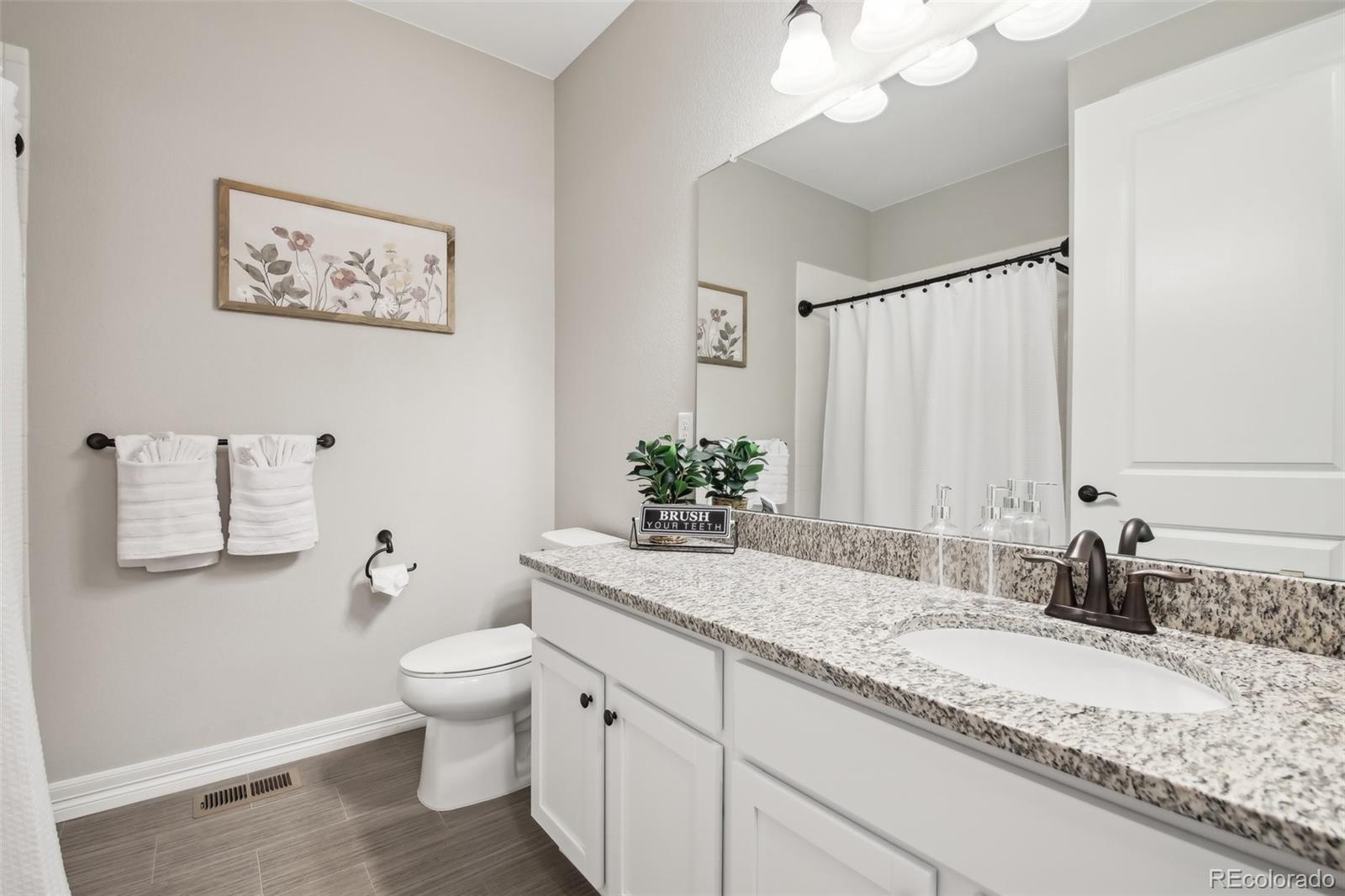 MLS Image #11 for 2328  saddle back court,fort lupton, Colorado