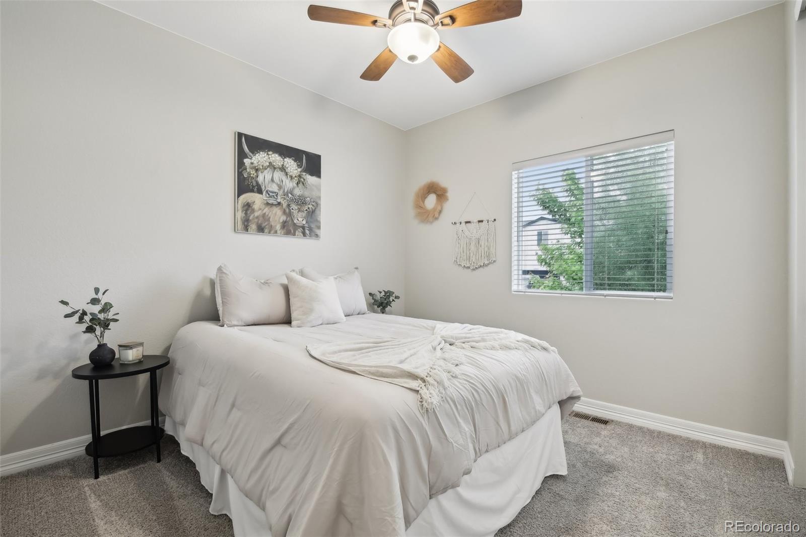 MLS Image #13 for 2328  saddle back court,fort lupton, Colorado