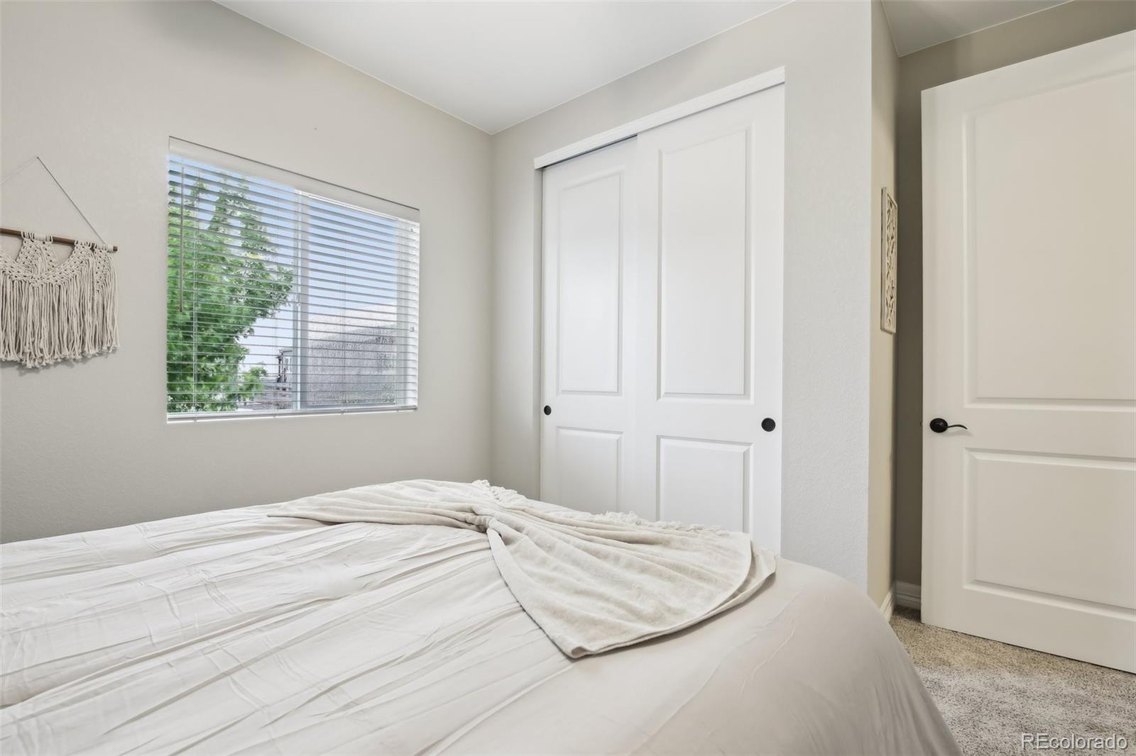 MLS Image #14 for 2328  saddle back court,fort lupton, Colorado