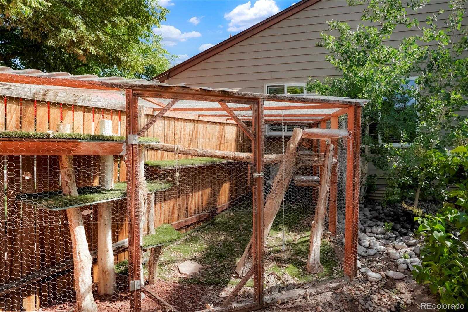 MLS Image #21 for 7344 s sheephorn mountain,littleton, Colorado