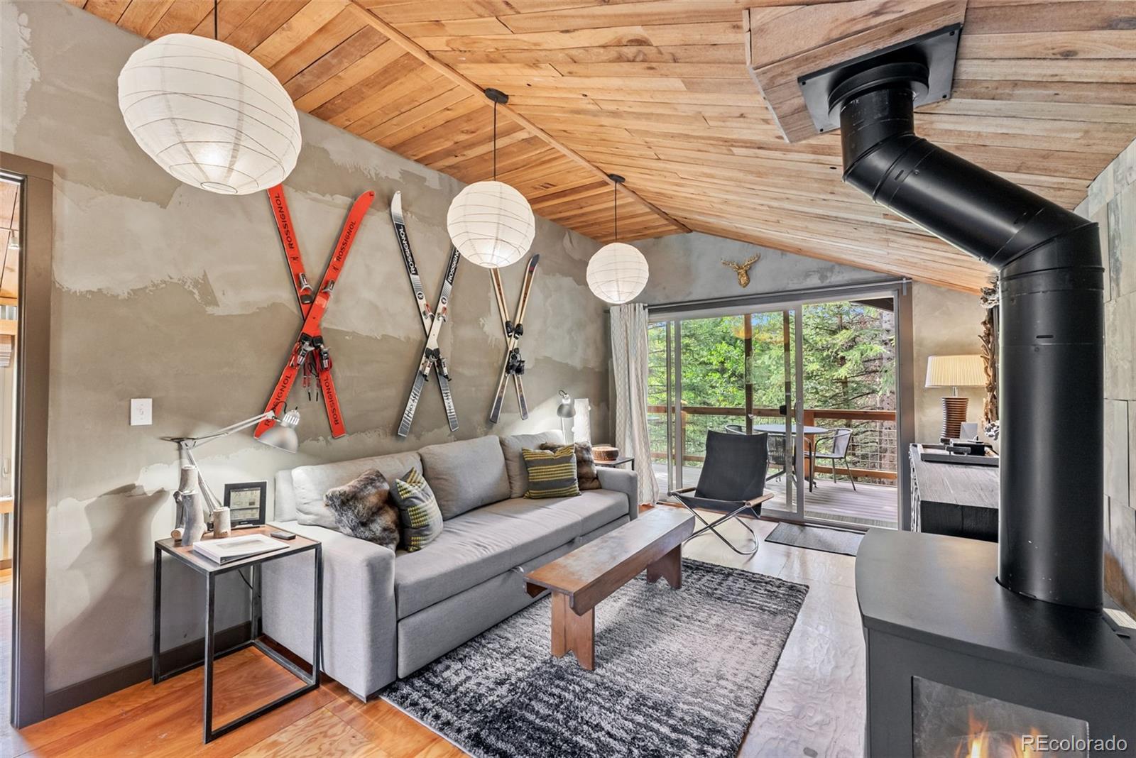 MLS Image #11 for 932  peterson drive,alma, Colorado