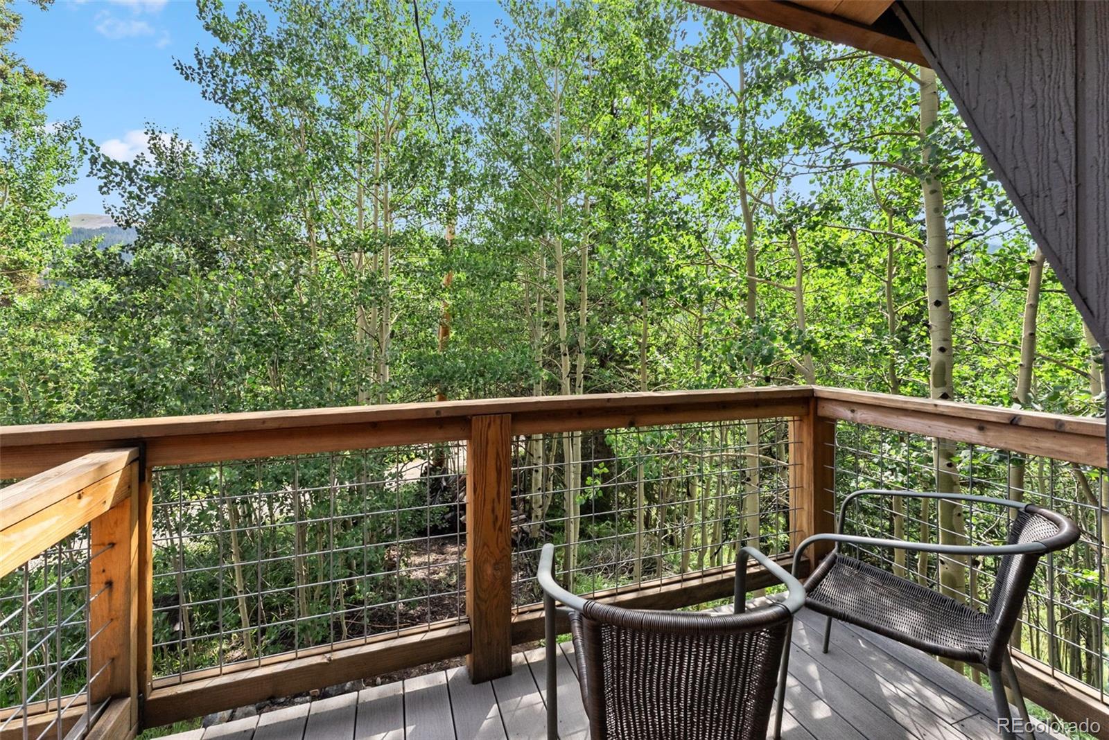 MLS Image #24 for 932  peterson drive,alma, Colorado