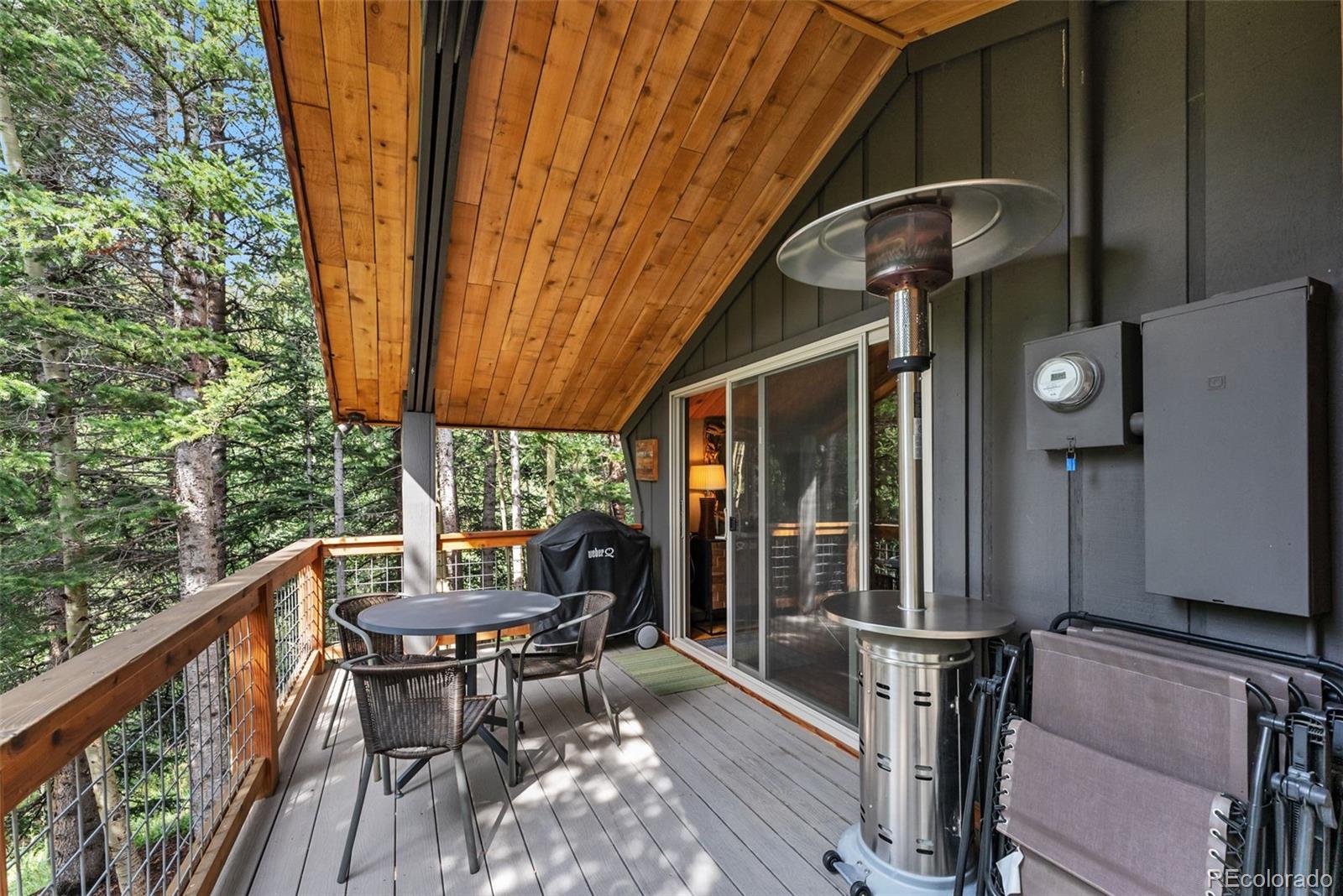 MLS Image #25 for 932  peterson drive,alma, Colorado
