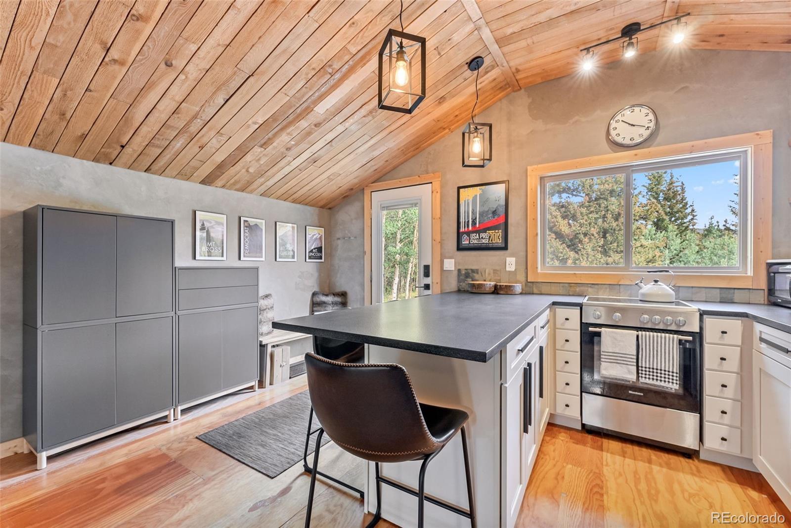 MLS Image #4 for 932  peterson drive,alma, Colorado