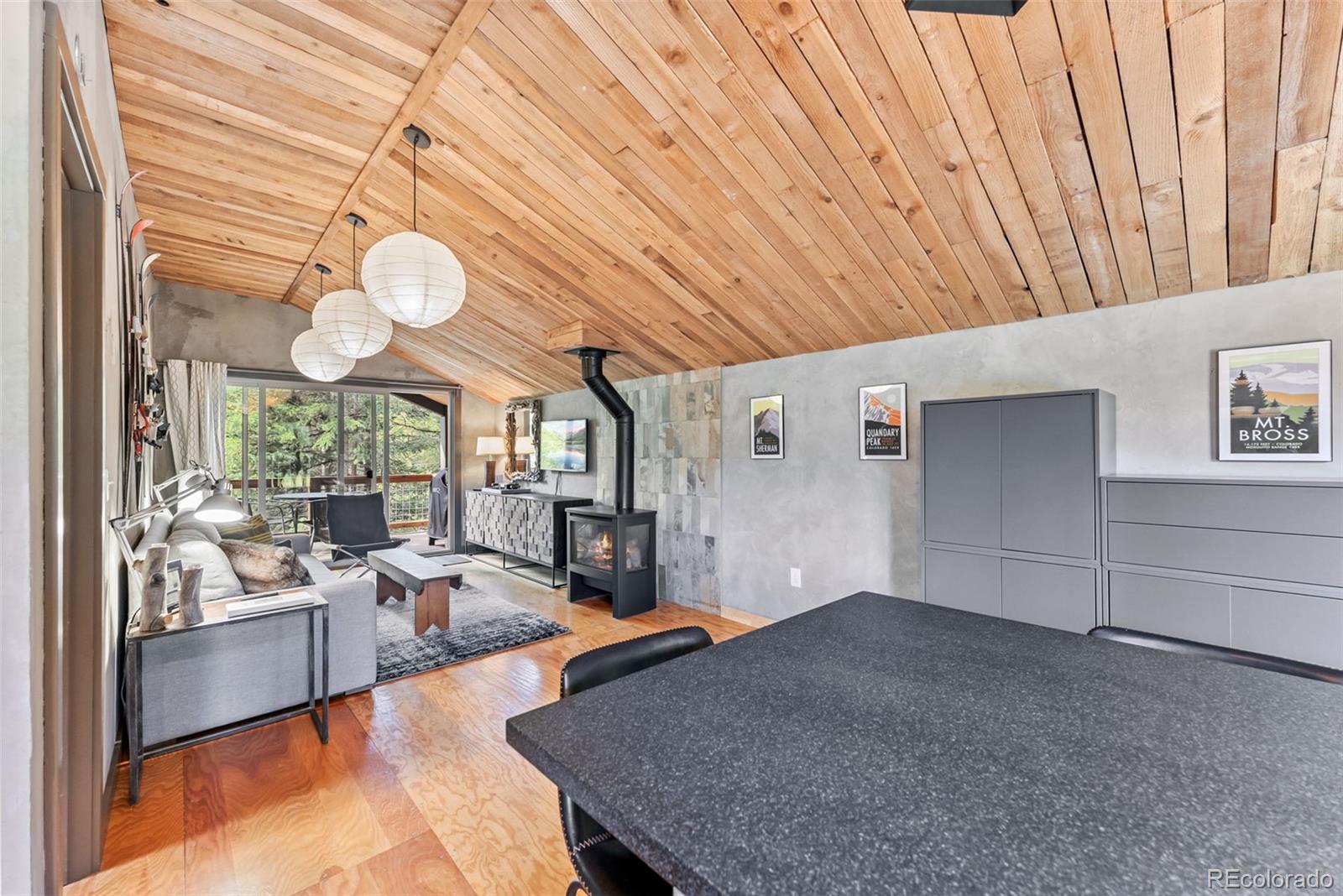 MLS Image #6 for 932  peterson drive,alma, Colorado