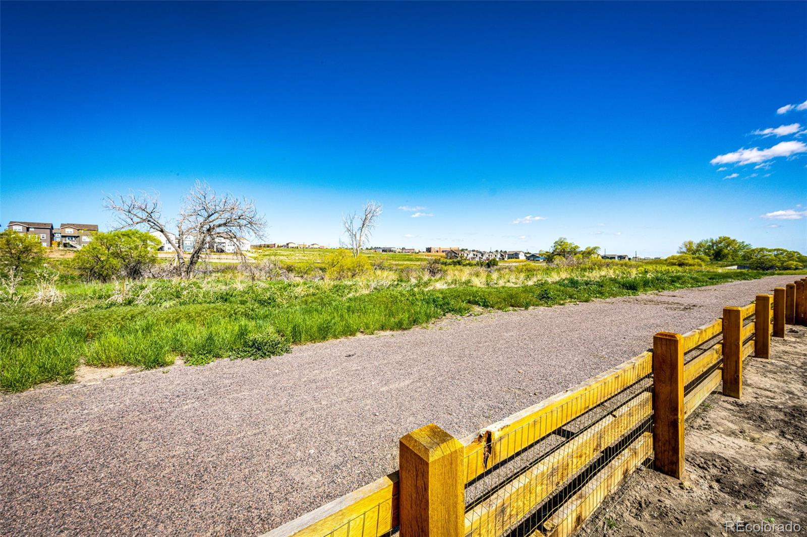 MLS Image #30 for 947 w beverly street,elizabeth, Colorado