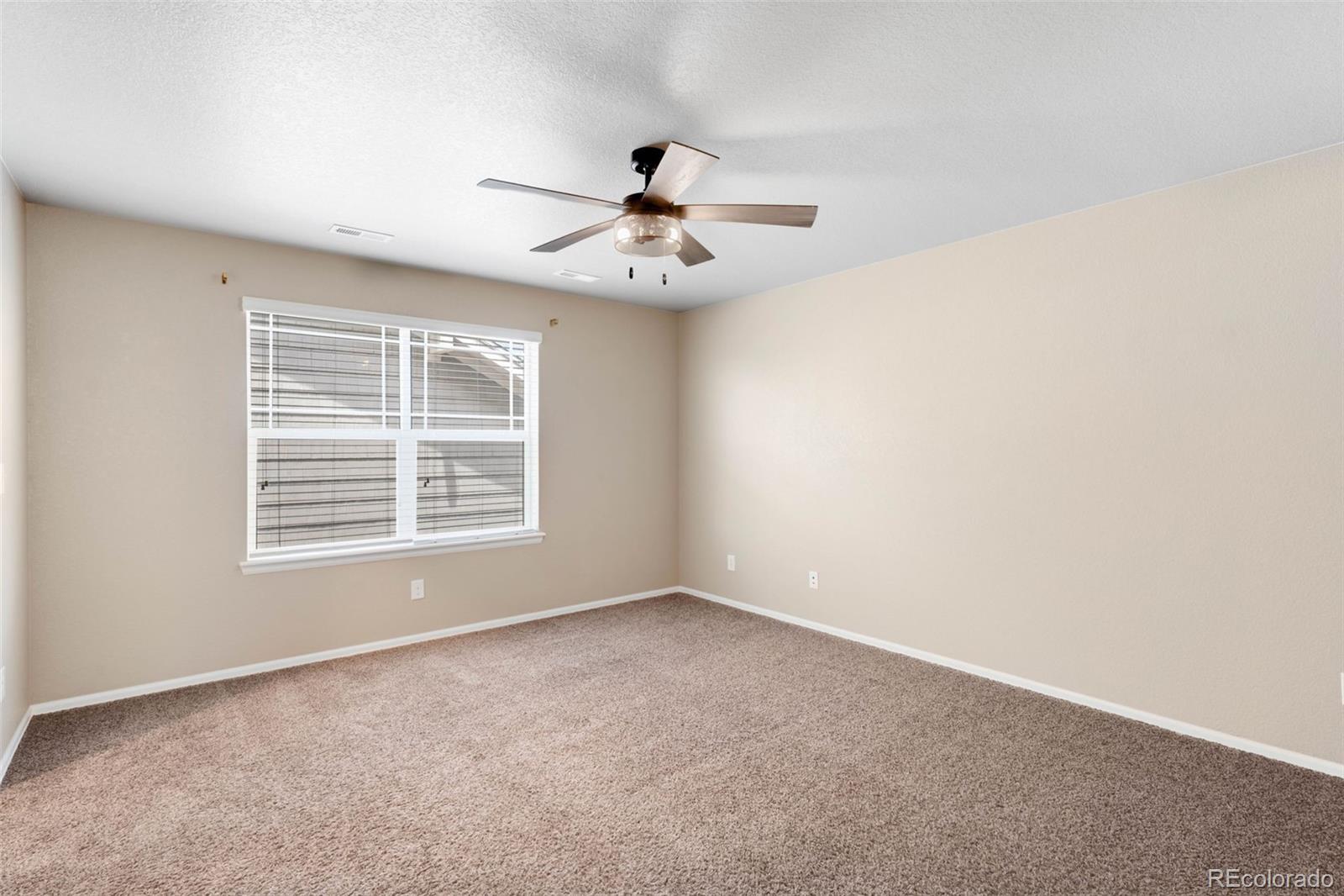 MLS Image #18 for 1339  sidewinder circle,castle rock, Colorado
