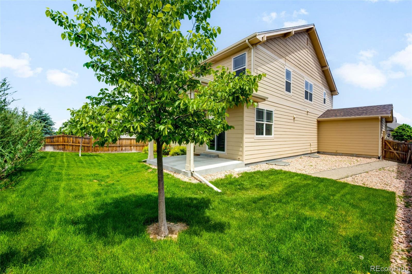 MLS Image #25 for 1339  sidewinder circle,castle rock, Colorado
