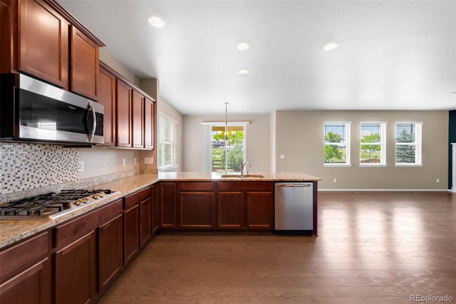 MLS Image #4 for 1339  sidewinder circle,castle rock, Colorado