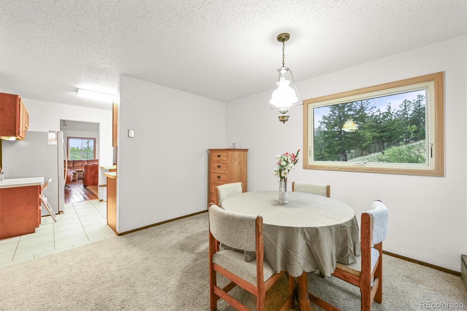 MLS Image #12 for 2169  vigilante avenue,bailey, Colorado