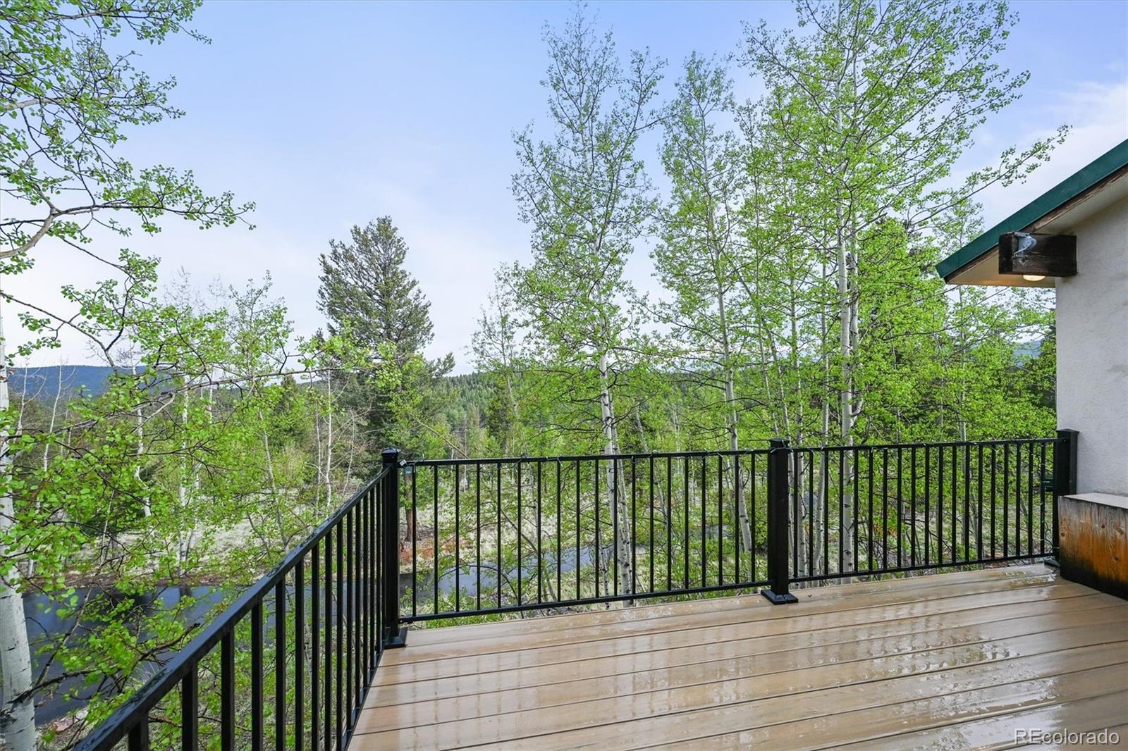 MLS Image #14 for 2169  vigilante avenue,bailey, Colorado