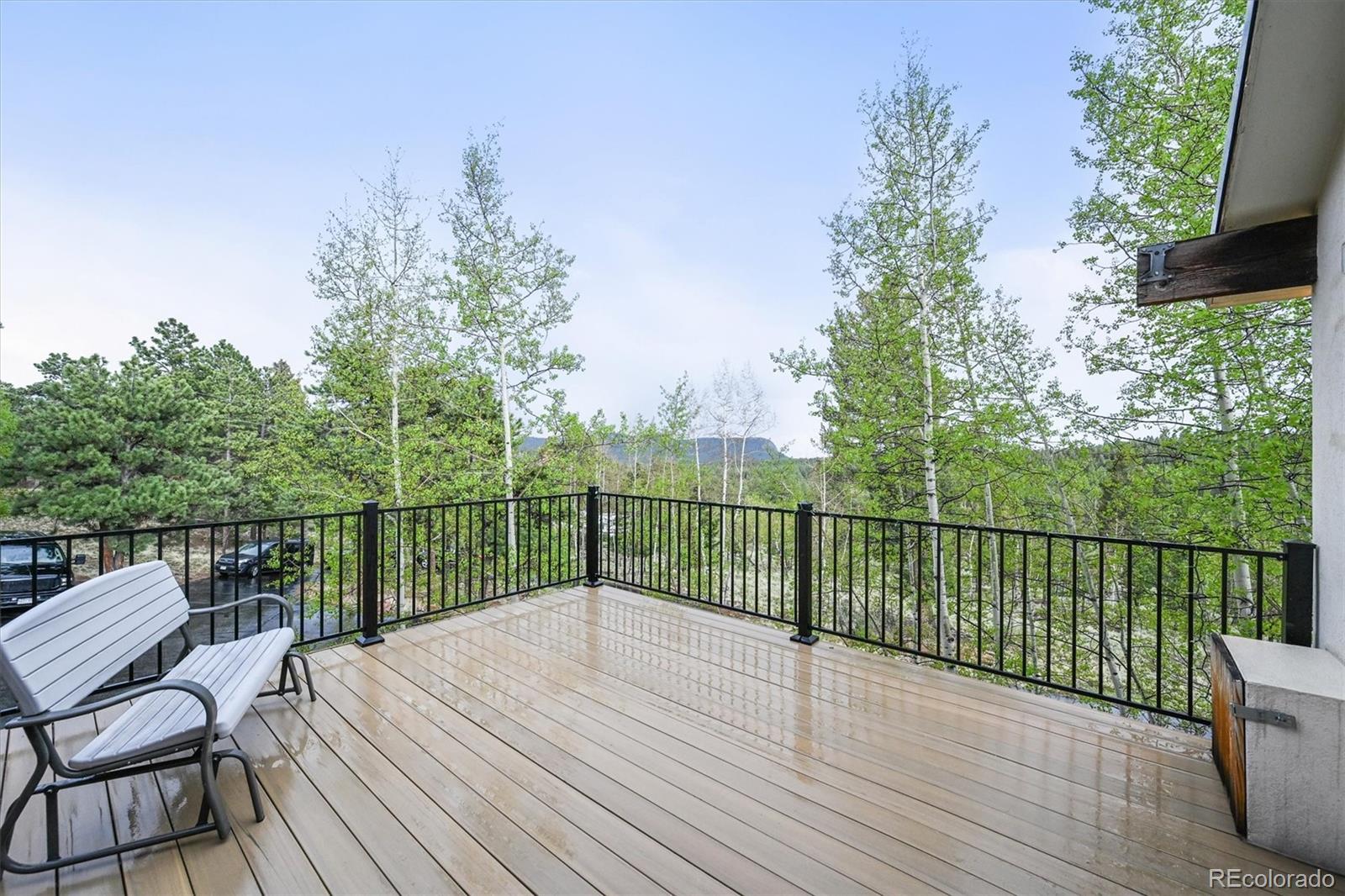 MLS Image #15 for 2169  vigilante avenue,bailey, Colorado