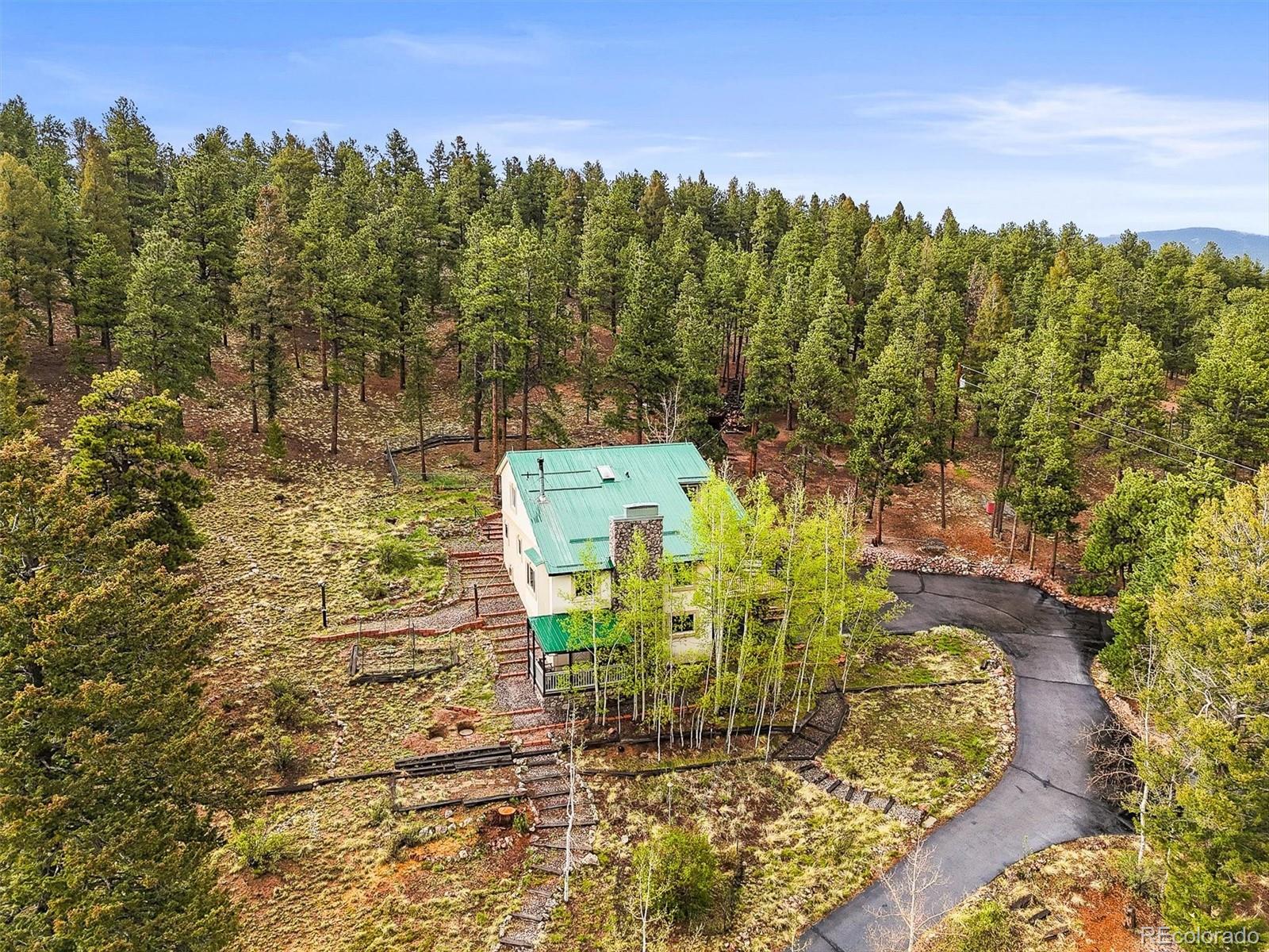 MLS Image #19 for 2169  vigilante avenue,bailey, Colorado