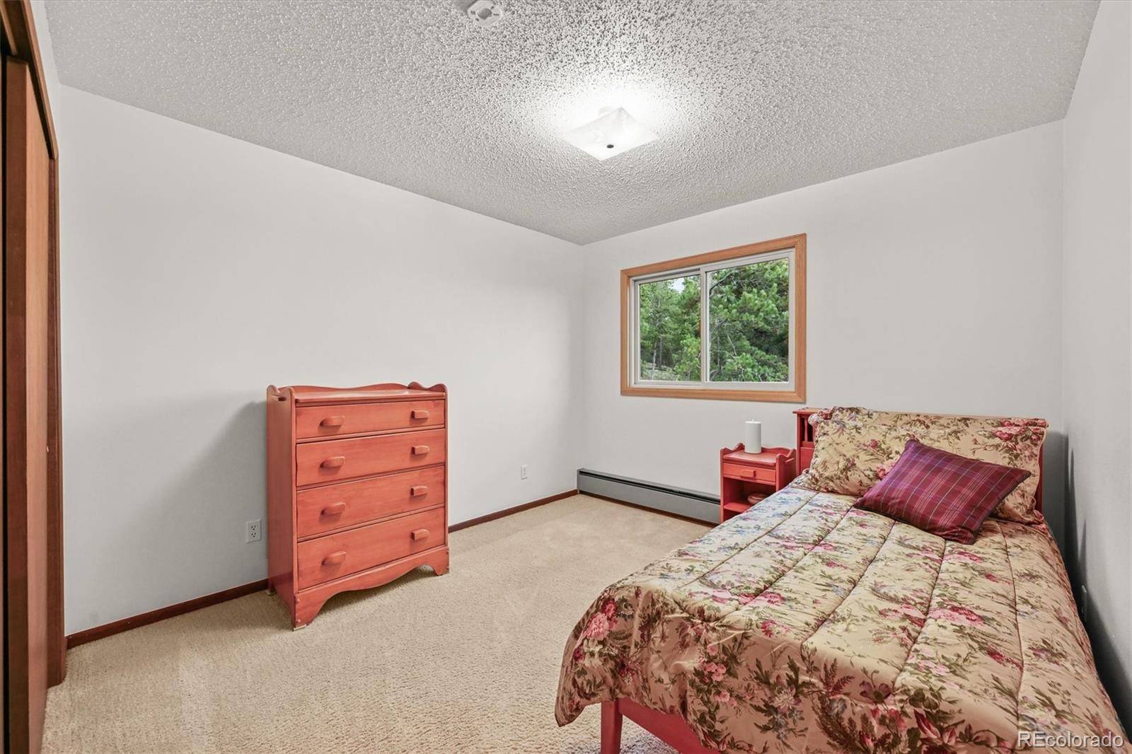 MLS Image #28 for 2169  vigilante avenue,bailey, Colorado