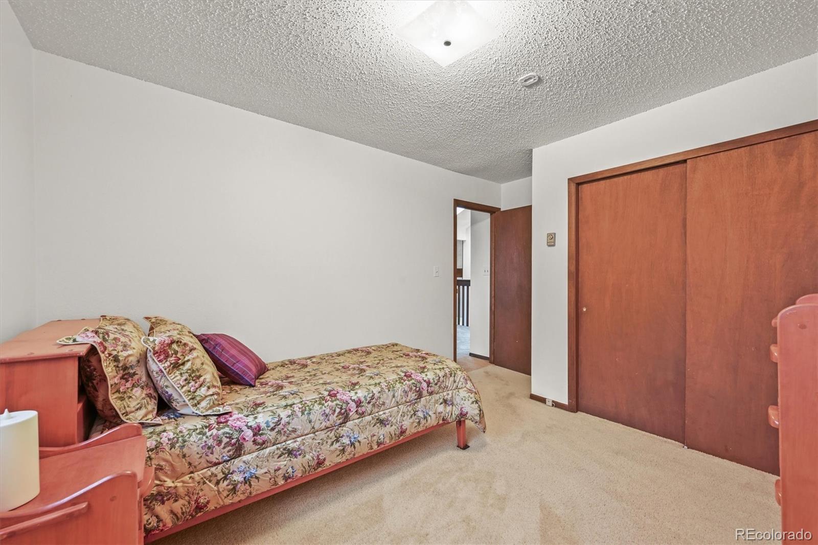 MLS Image #29 for 2169  vigilante avenue,bailey, Colorado