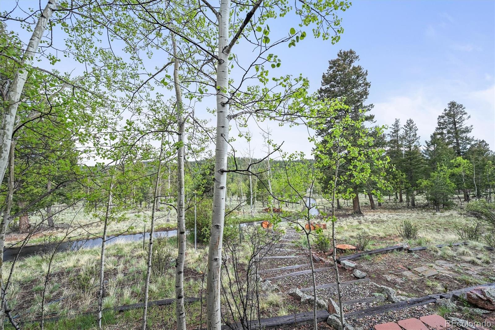 MLS Image #33 for 2169  vigilante avenue,bailey, Colorado