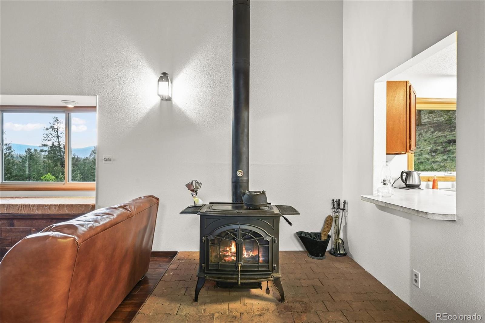 MLS Image #6 for 2169  vigilante avenue,bailey, Colorado