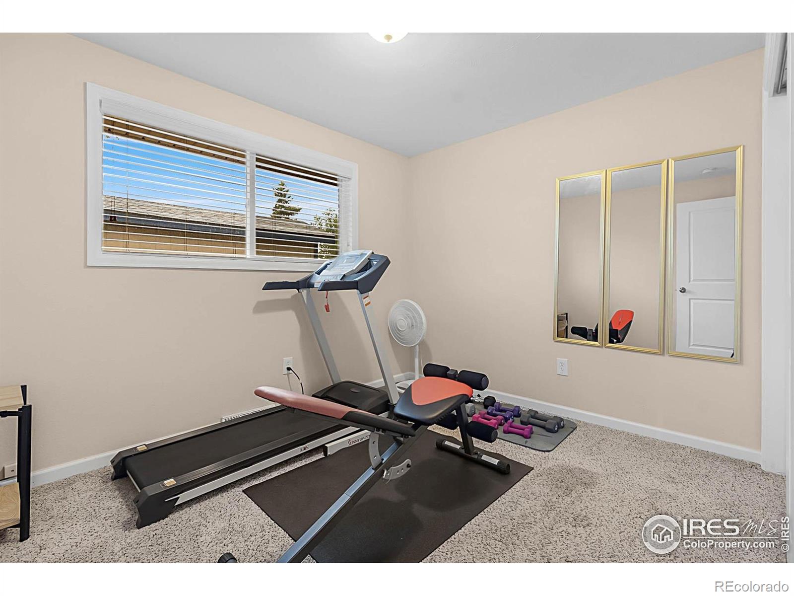 MLS Image #14 for 437  fox street,longmont, Colorado