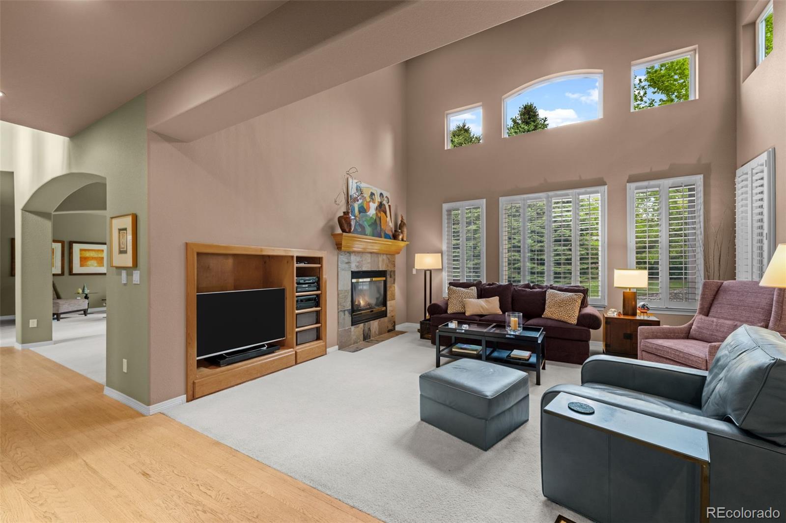 MLS Image #10 for 10524  serengeti drive,lone tree, Colorado