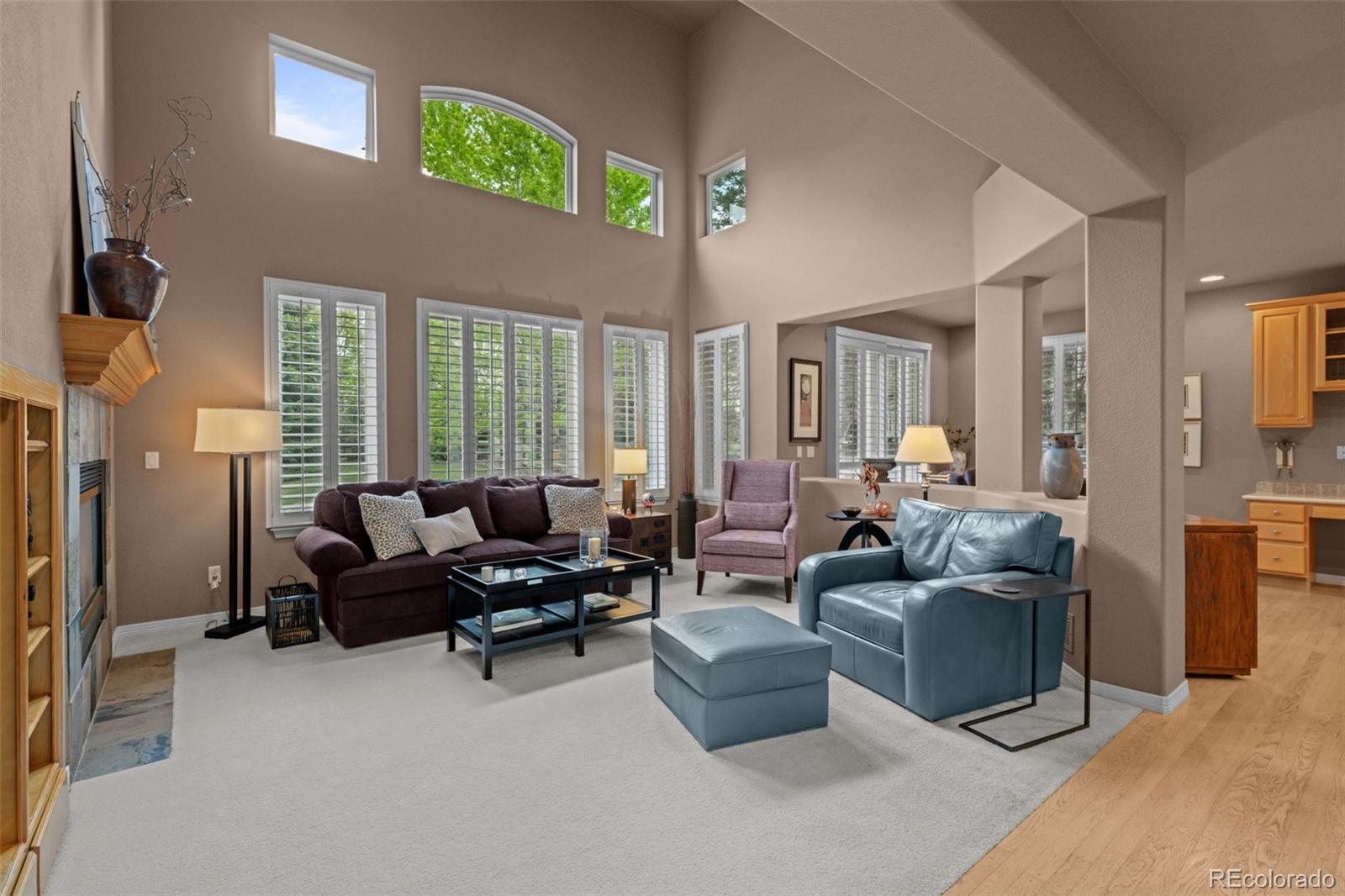 MLS Image #9 for 10524  serengeti drive,lone tree, Colorado