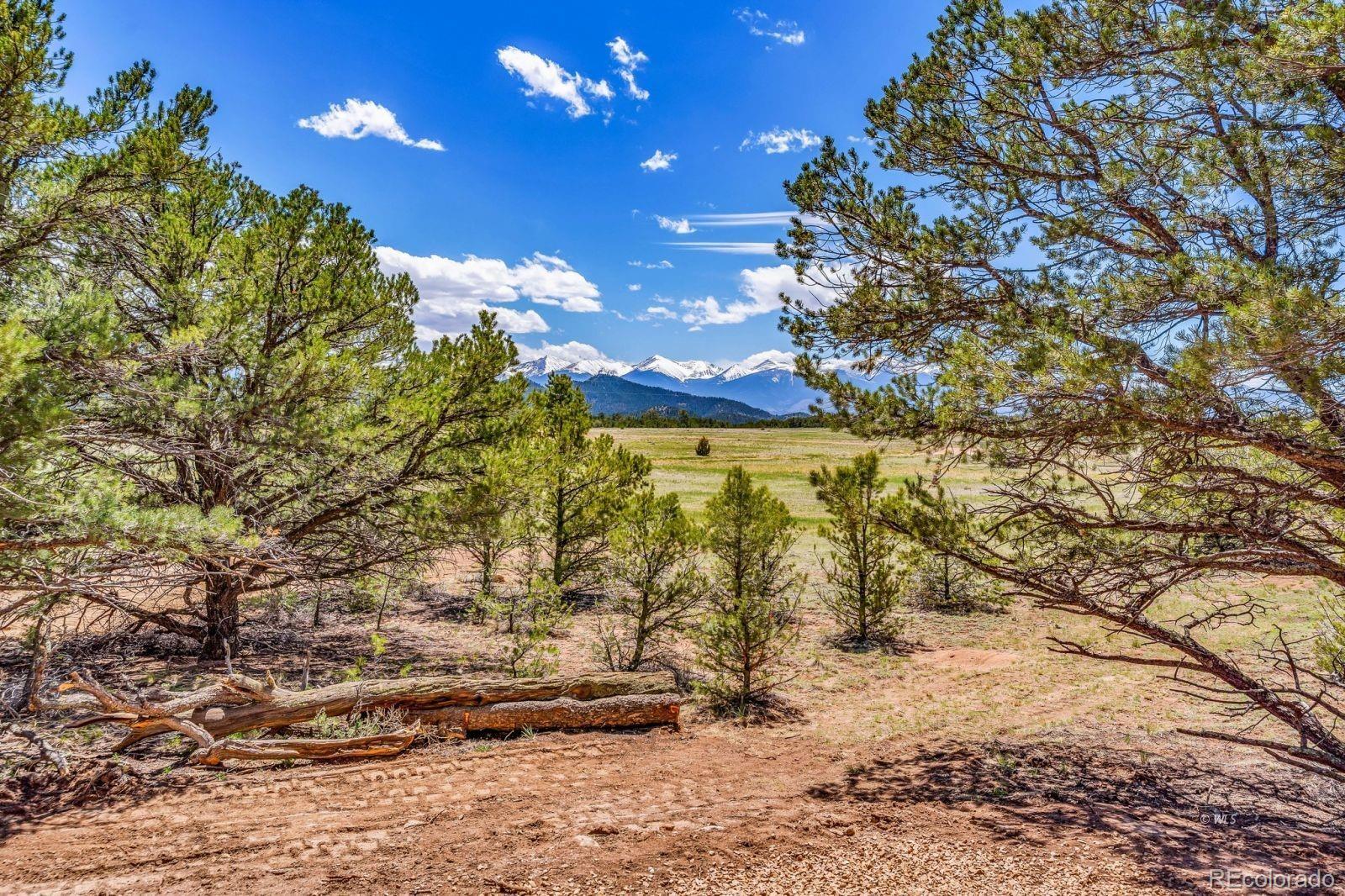 MLS Image #21 for 387  15th trail,cotopaxi, Colorado