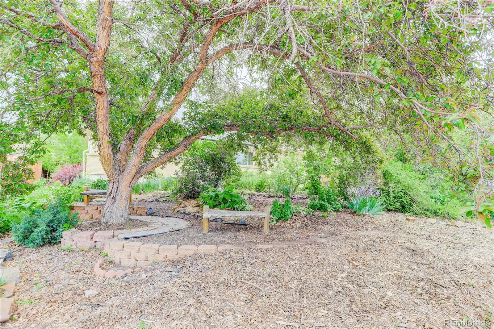 MLS Image #2 for 9743 w 67th place,arvada, Colorado