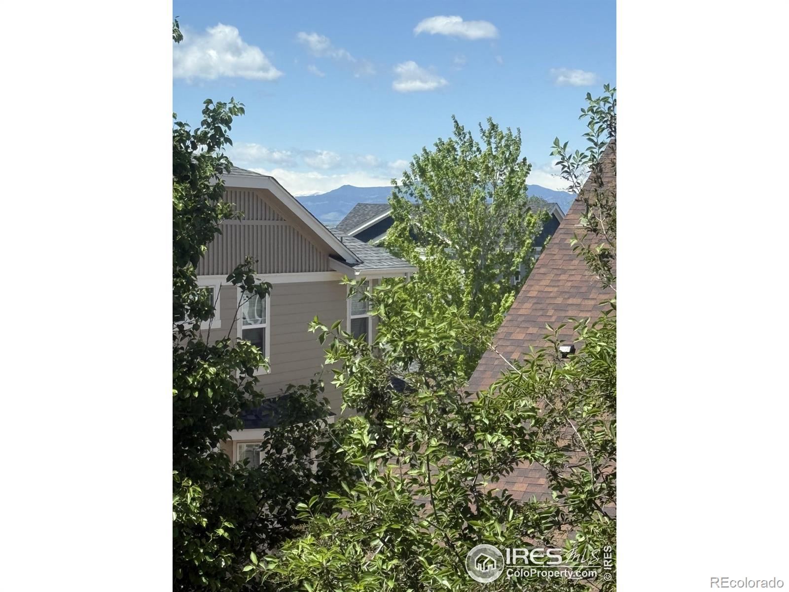 MLS Image #36 for 14049  detroit drive,thornton, Colorado