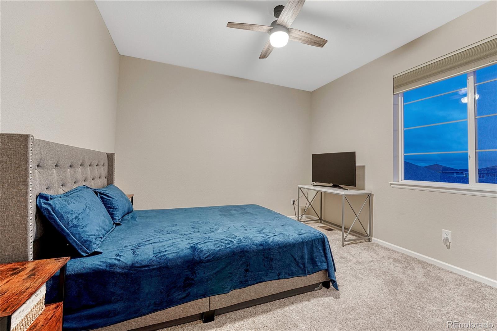 MLS Image #8 for 2775  morningbird lane,castle rock, Colorado