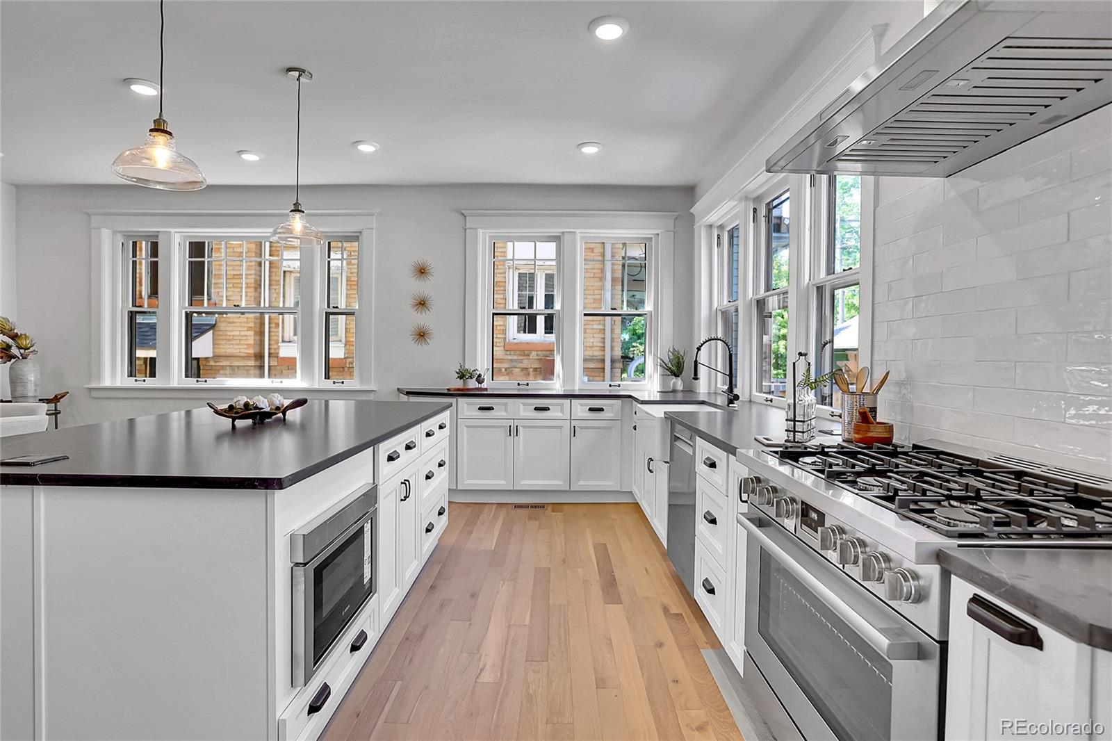 MLS Image #10 for 1343  milwaukee street,denver, Colorado