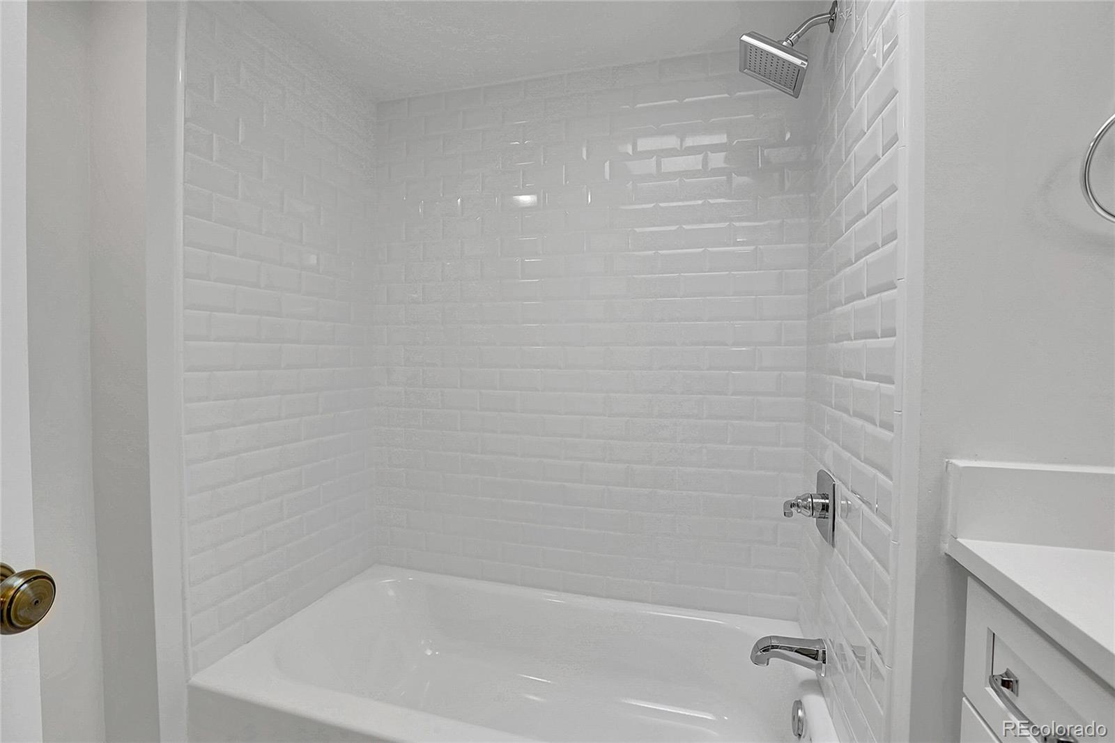 MLS Image #37 for 1343  milwaukee street,denver, Colorado