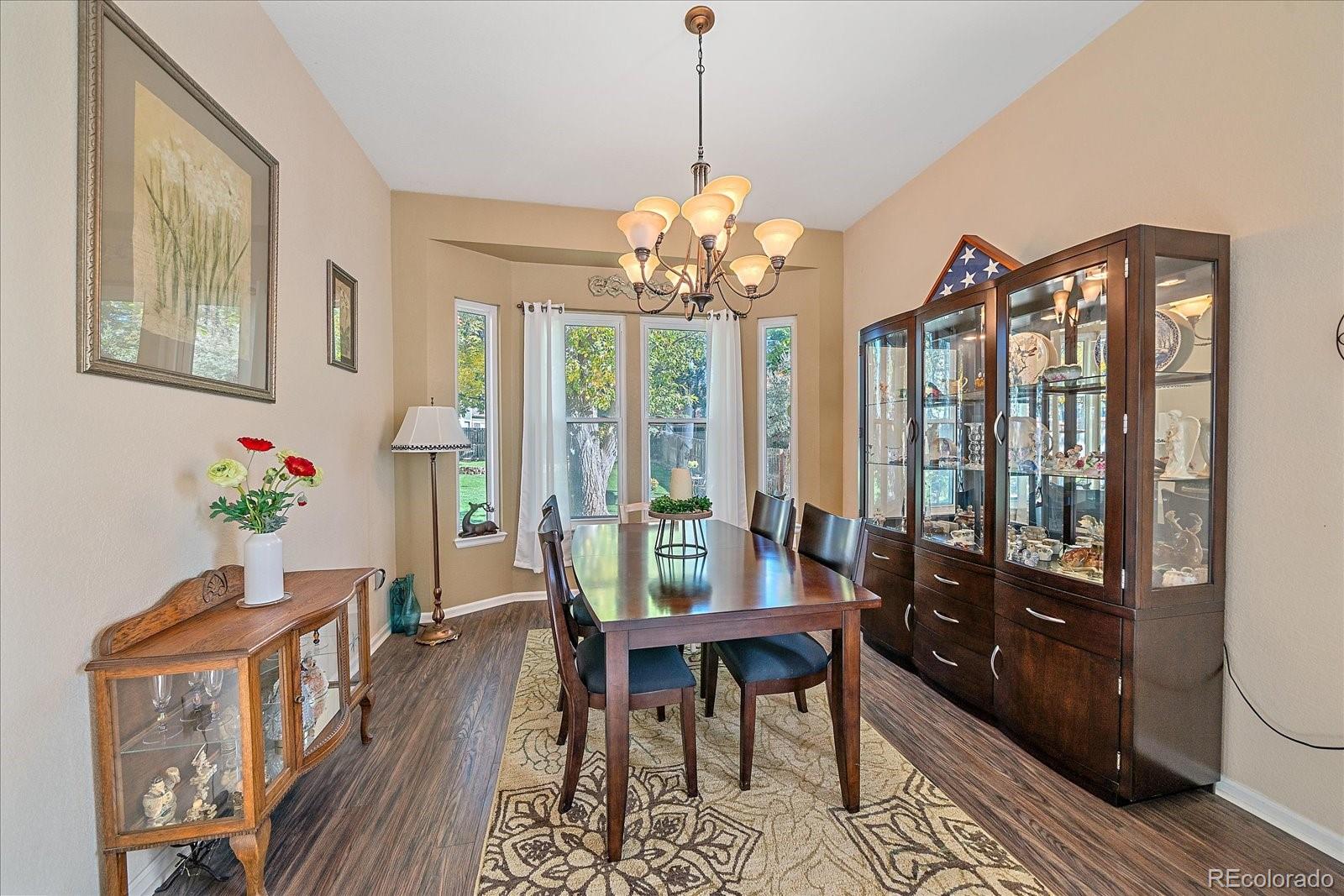 MLS Image #17 for 21616  hill gail place,parker, Colorado