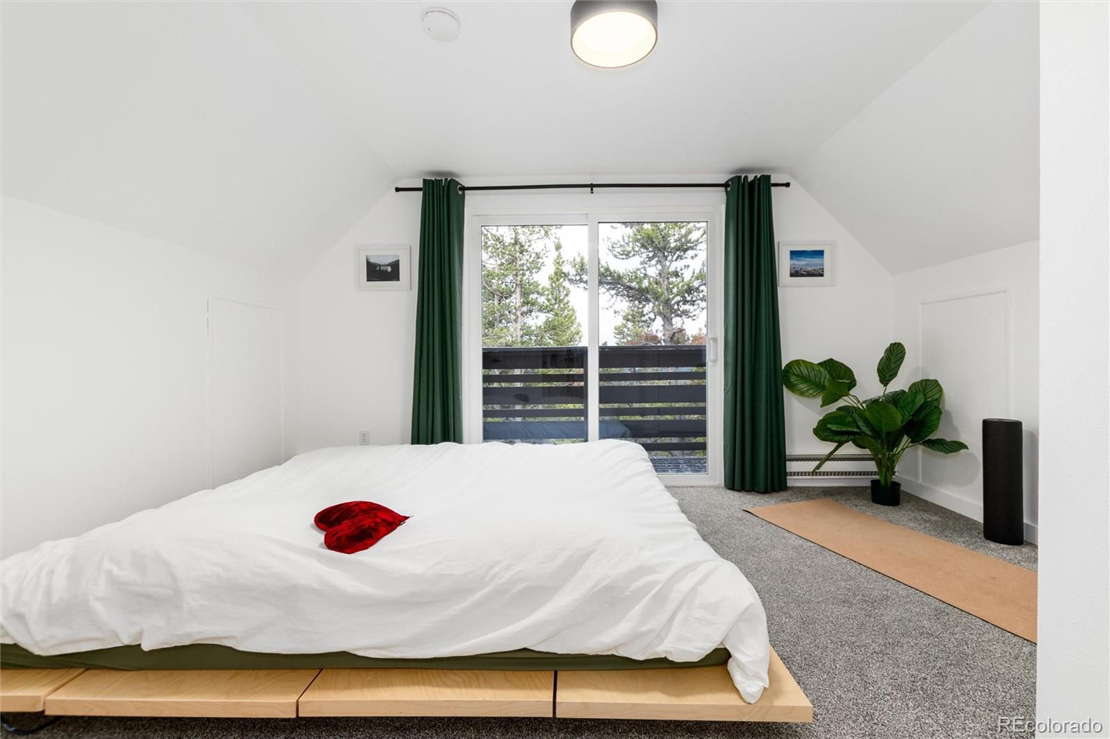 MLS Image #19 for 236  harris drive,idaho springs, Colorado