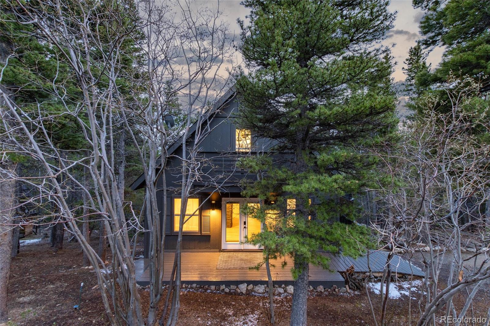 MLS Image #2 for 236  harris drive,idaho springs, Colorado